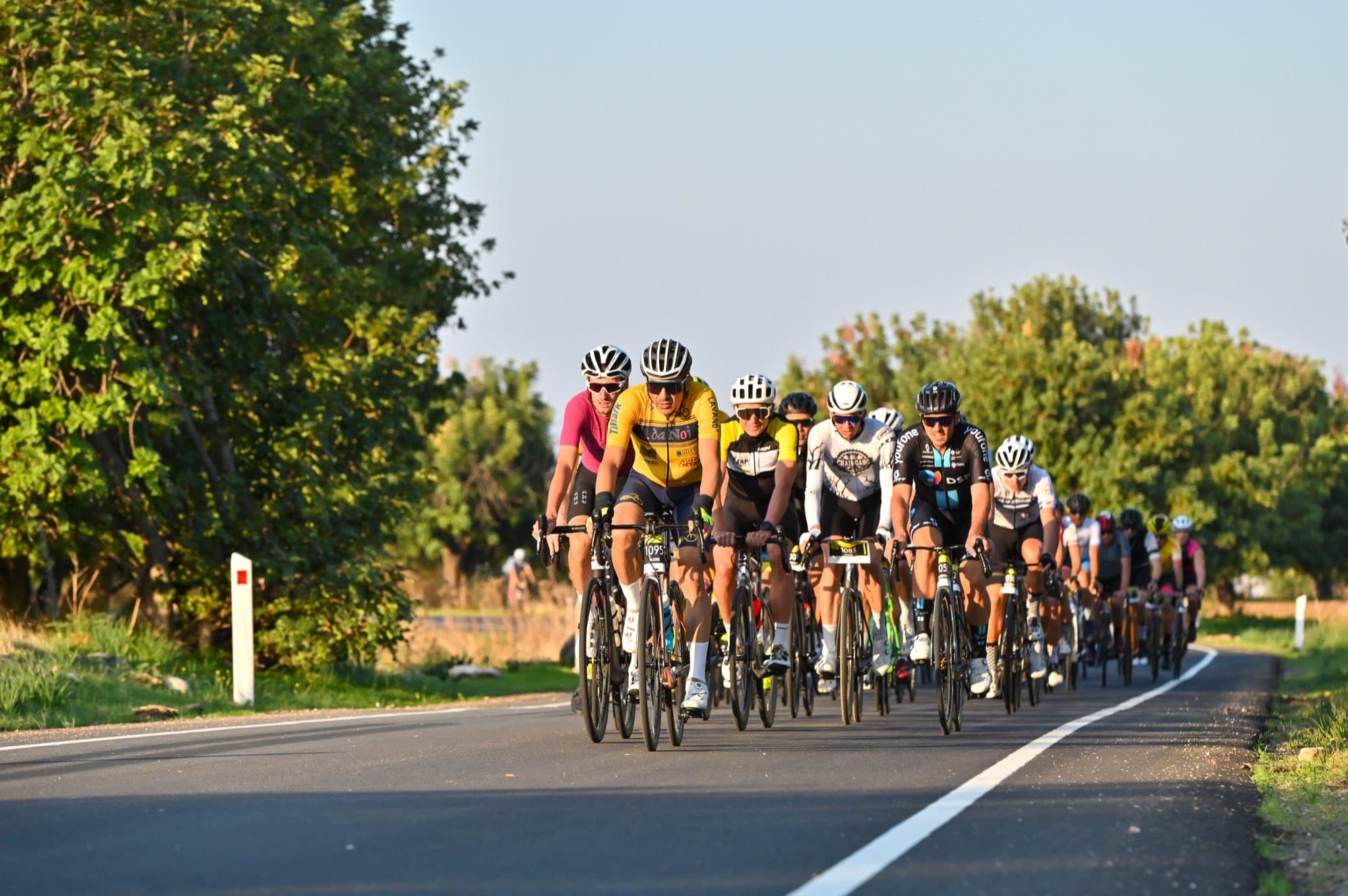 The peloton streams down a tree-lined road in golden light at L'Étape Cyprus, the Tour de France race, filmed by Backlight Media in Cyprus